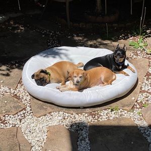 Meet your Posher, Alquin